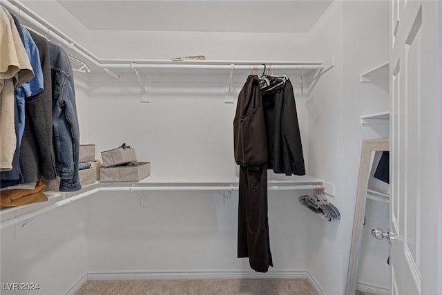 walk in closet featuring light colored carpet