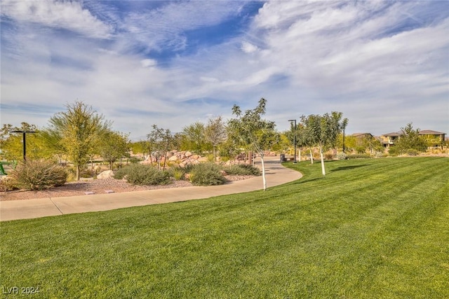 view of property's community featuring a lawn