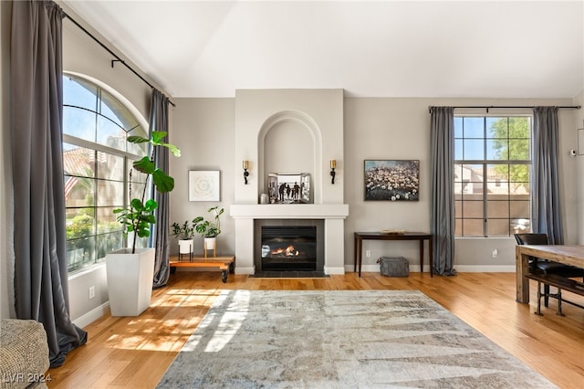 living area with wood-type flooring and a wealth of natural light