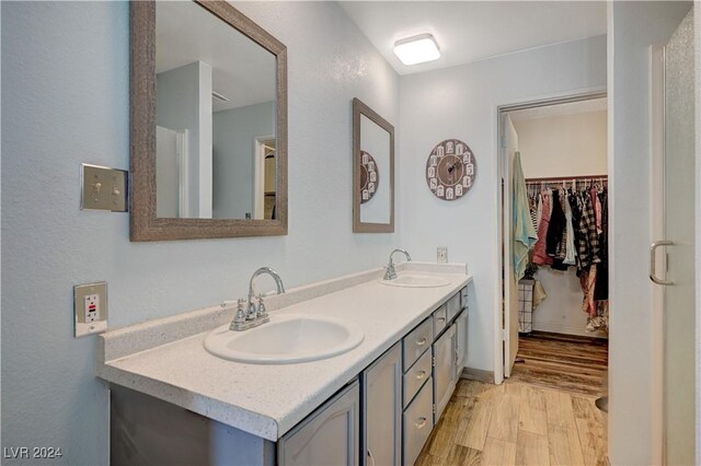 bathroom with hardwood / wood-style floors and vanity