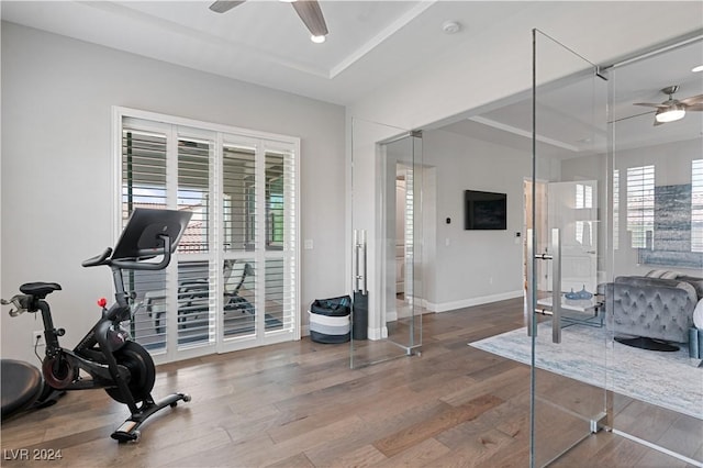 exercise room featuring plenty of natural light, ceiling fan, and wood-type flooring