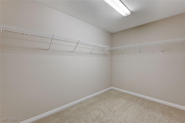 spacious closet featuring carpet floors