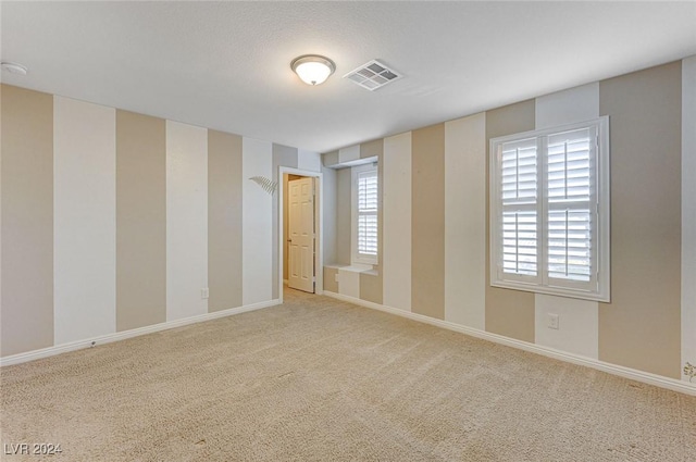 spare room featuring carpet and a wealth of natural light