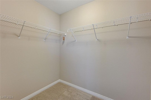 spacious closet featuring carpet floors