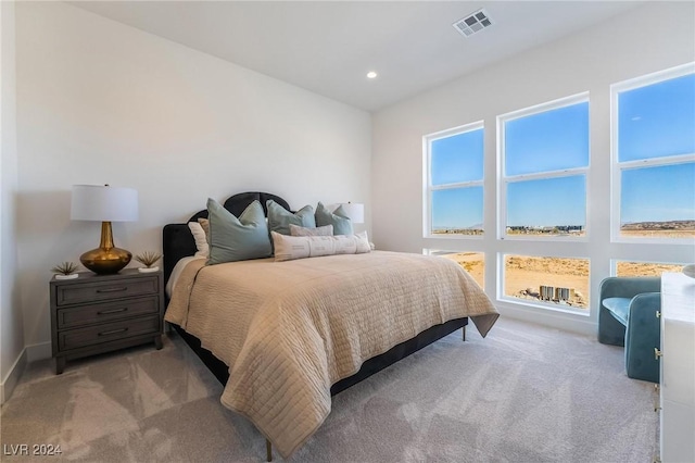 carpeted bedroom with multiple windows