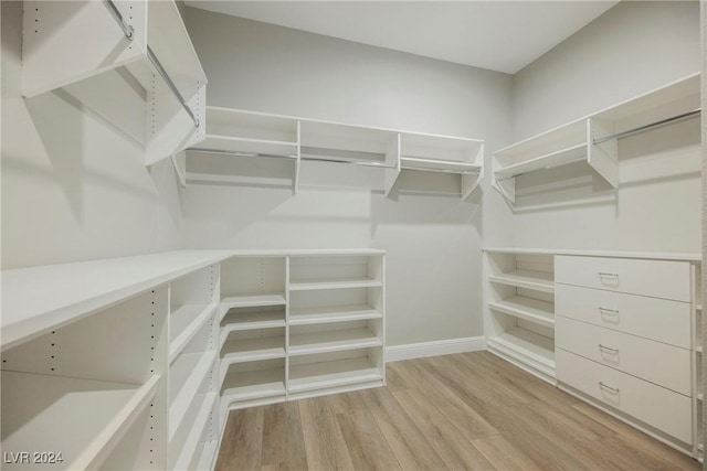 spacious closet with light wood-type flooring