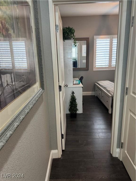 hallway featuring a wealth of natural light and dark hardwood / wood-style floors