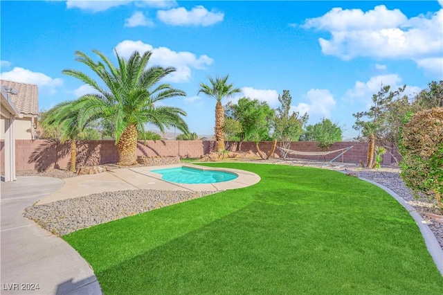 view of pool featuring a yard and a patio area