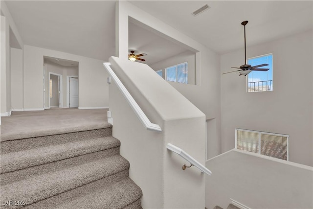 staircase featuring carpet flooring and ceiling fan