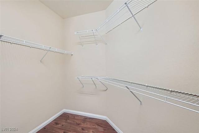 walk in closet featuring hardwood / wood-style flooring