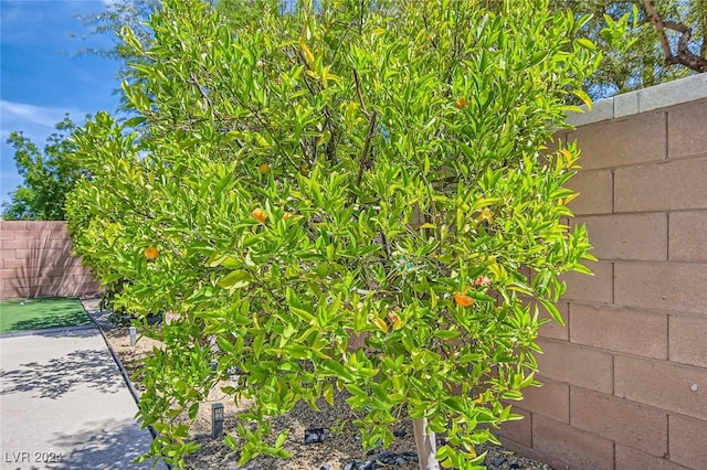 3605 Sapphire Sea Ct, North Las Vegas, NV 89031 - exterior view