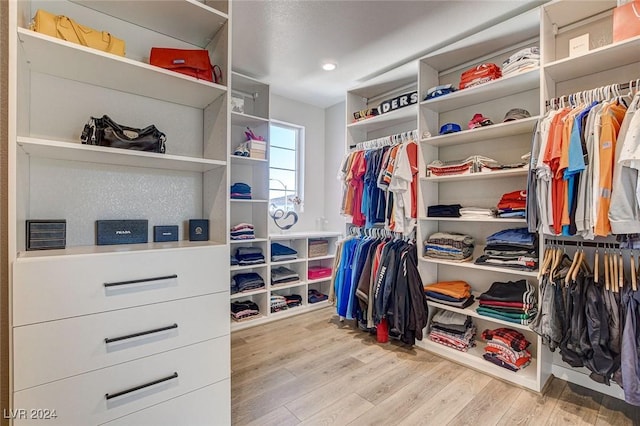 spacious closet with light wood-type flooring