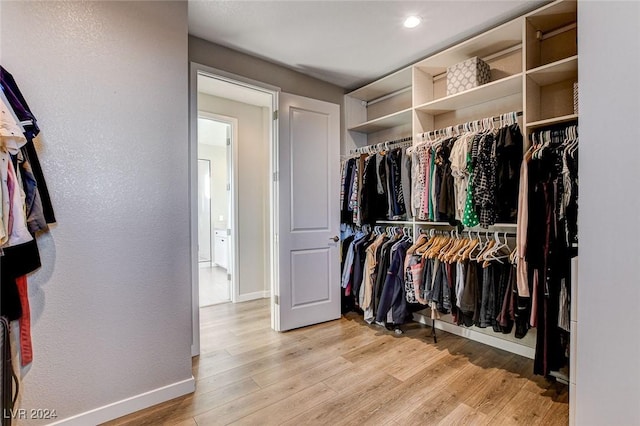 walk in closet with light wood-type flooring