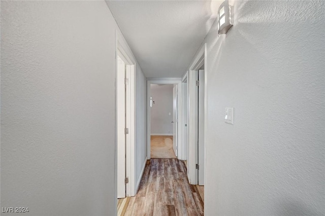 hall with light hardwood / wood-style floors