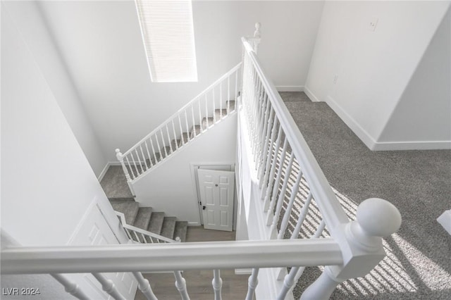 stairs featuring carpet floors