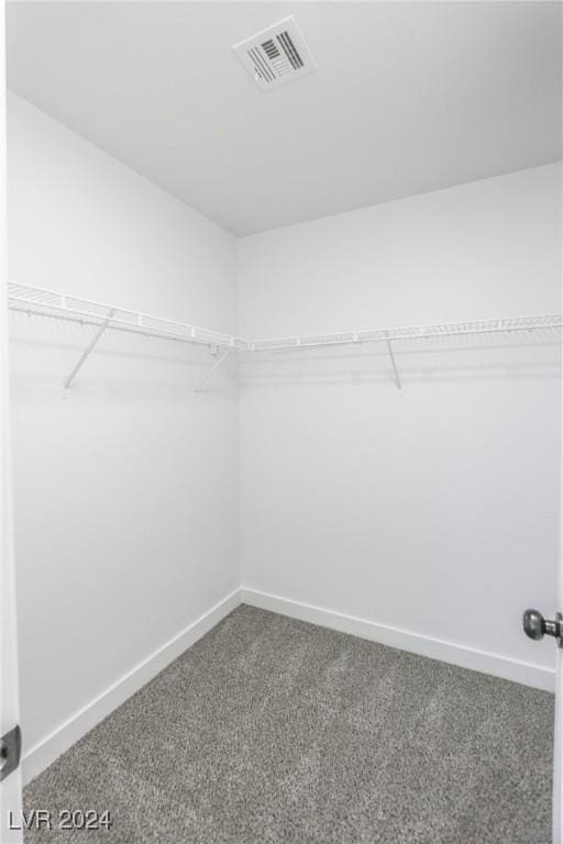 walk in closet featuring carpet