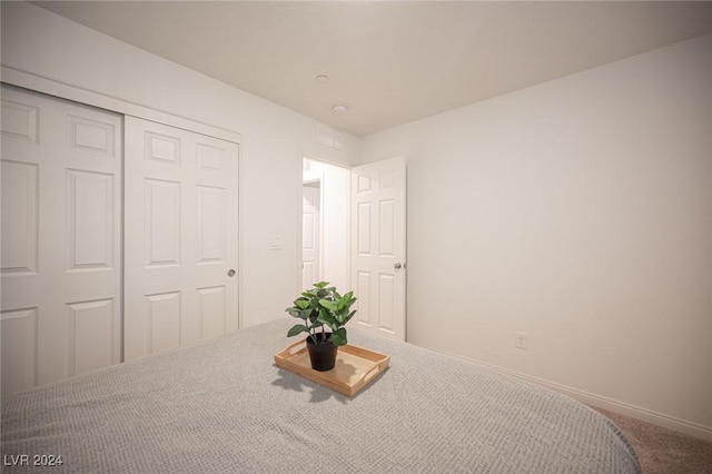 bedroom featuring carpet and a closet