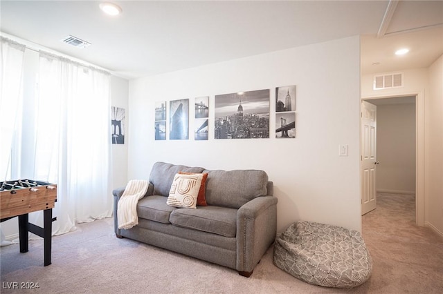 carpeted living room with a wealth of natural light