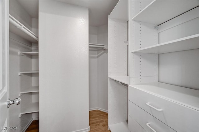 walk in closet featuring wood-type flooring