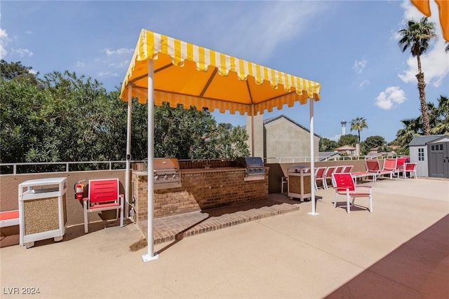 view of patio / terrace with area for grilling and exterior kitchen