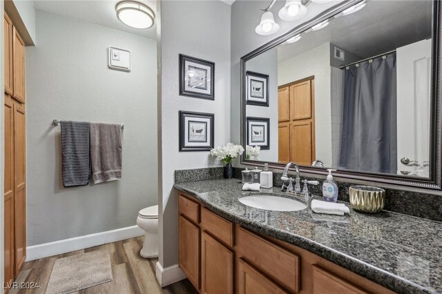 bathroom with vanity, toilet, and wood-type flooring