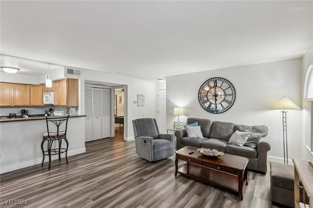 living room featuring dark hardwood / wood-style flooring