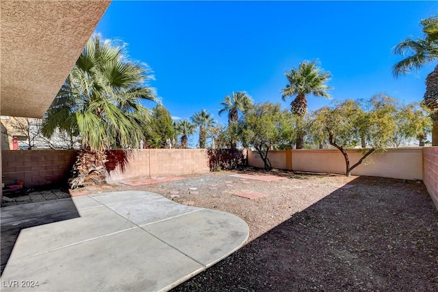 view of yard with a patio area