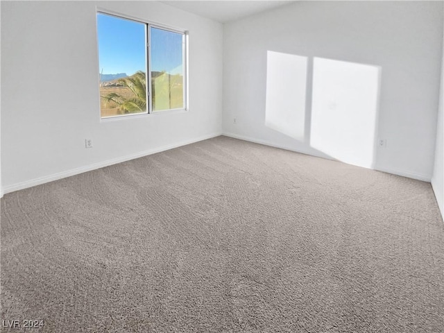 spare room with carpet flooring