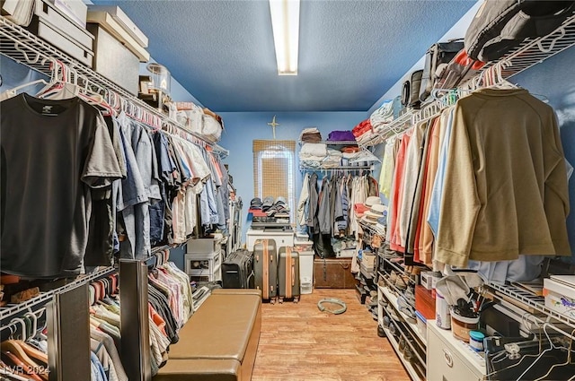 spacious closet featuring wood-type flooring