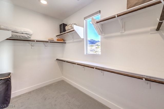 spacious closet featuring light colored carpet