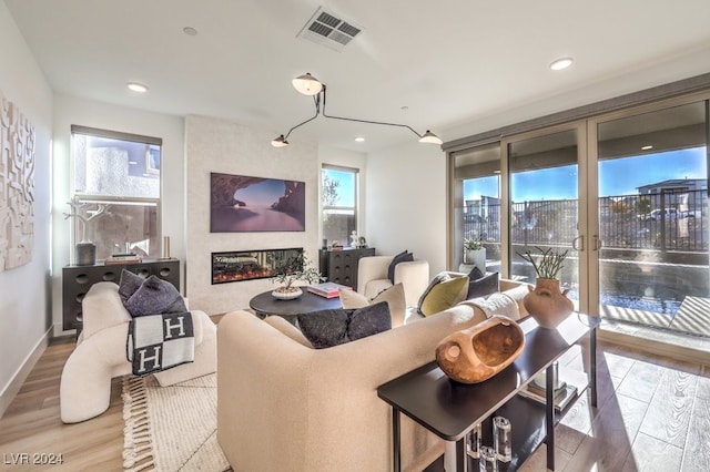 living room featuring hardwood / wood-style flooring, a fireplace, and a wealth of natural light