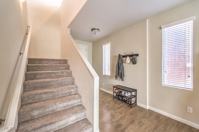 stairway featuring hardwood / wood-style flooring and plenty of natural light