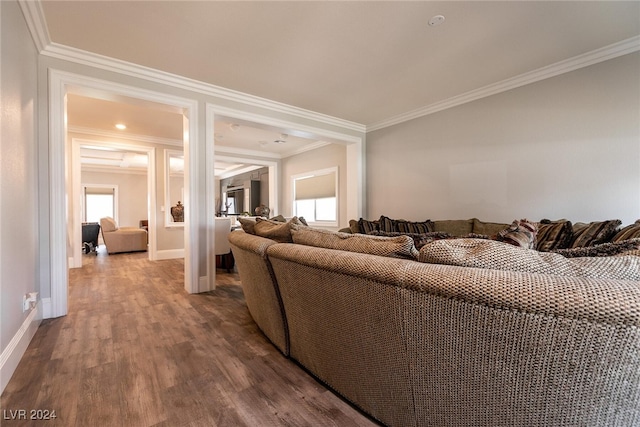 living room featuring hardwood / wood-style flooring and crown molding