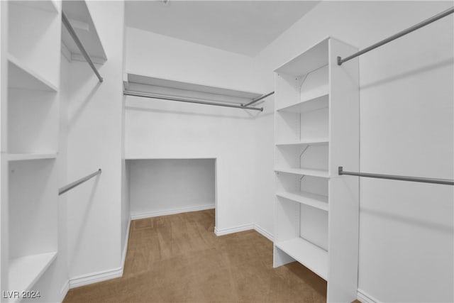 walk in closet featuring carpet flooring