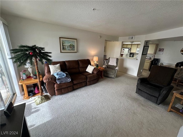 living room featuring light colored carpet and a textured ceiling