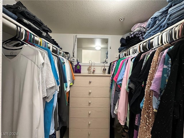 view of spacious closet