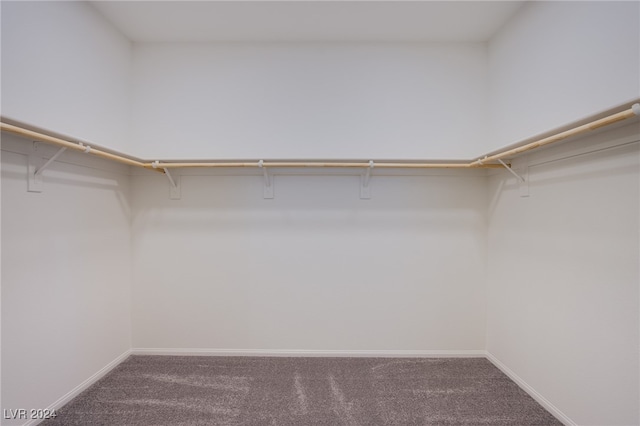 spacious closet with carpet