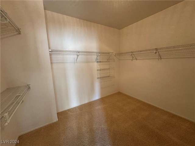 walk in closet featuring carpet floors