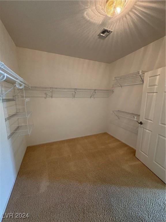 walk in closet with carpet floors