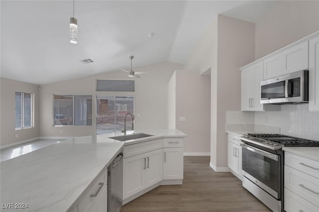 kitchen featuring plenty of natural light, sink, lofted ceiling, and stainless steel appliances