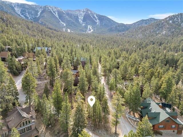 2194 Via Spes Nostra St, Mount Charleston NV, 89124 land for sale