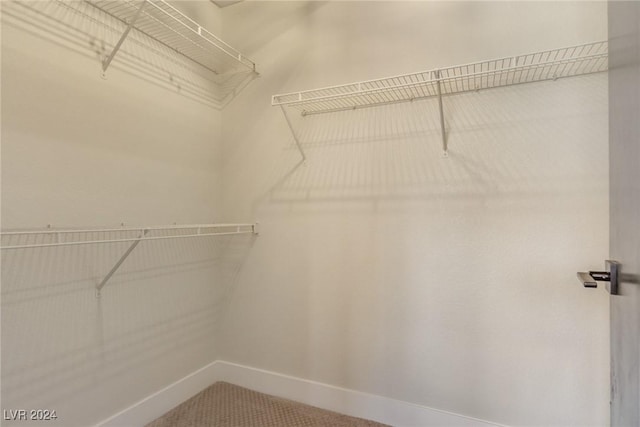 spacious closet featuring carpet floors