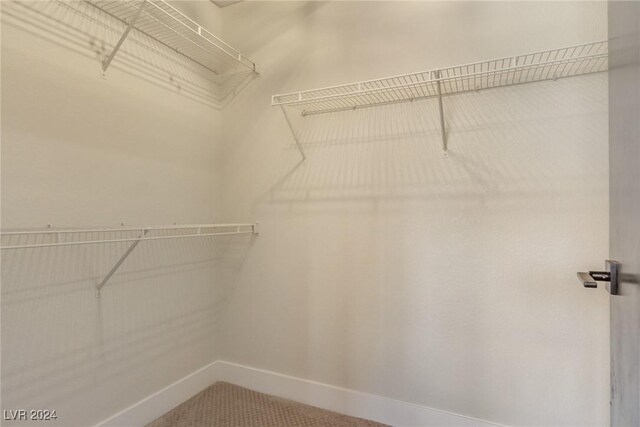8705 Villa Ridge Dr, Las Vegas, NV 89134 - view of spacious closet