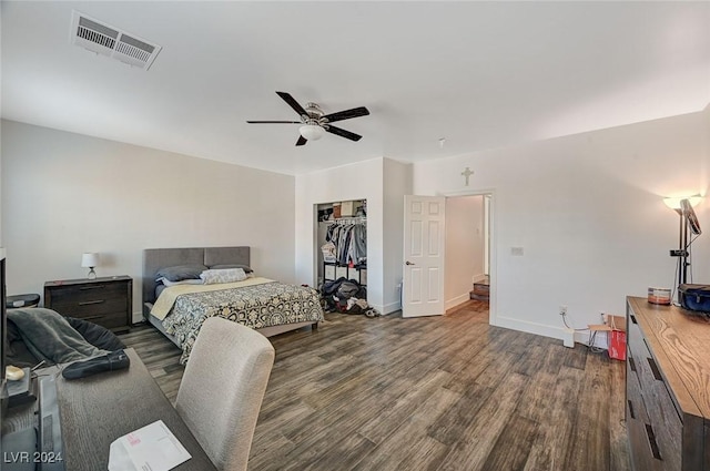 bedroom featuring ceiling fan, dark hardwood / wood-style flooring, a walk in closet, and a closet