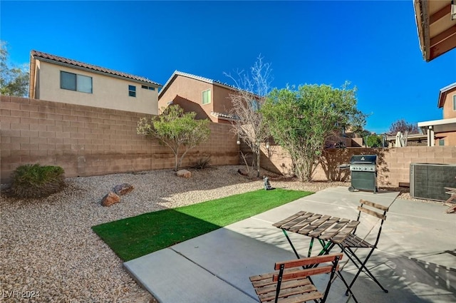 view of yard featuring a patio area