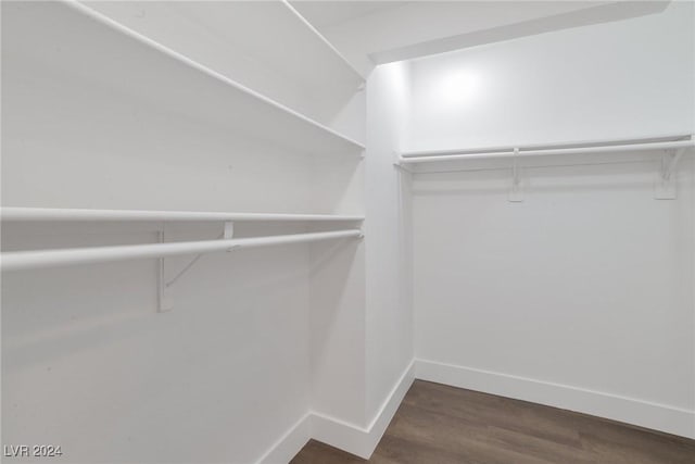 spacious closet featuring dark wood-type flooring