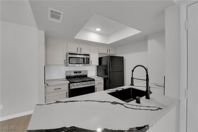 kitchen featuring appliances with stainless steel finishes, a tray ceiling, white cabinetry, and sink