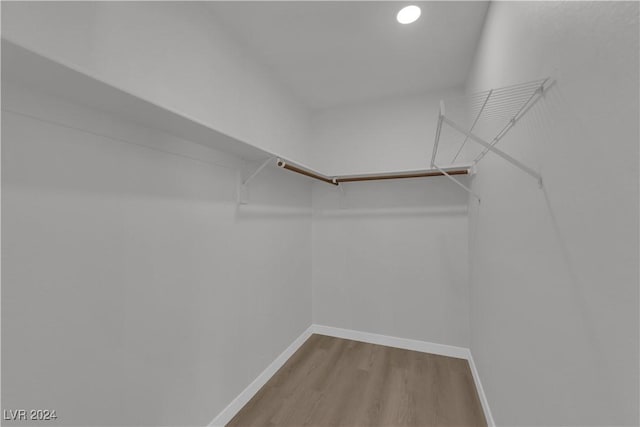 spacious closet featuring wood-type flooring