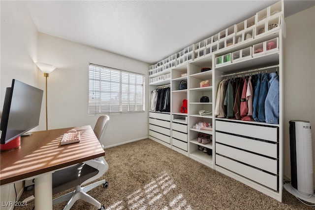 view of carpeted home office