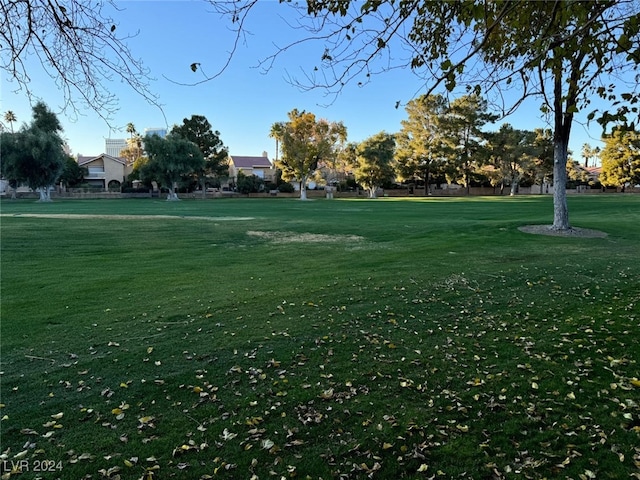 view of property's community with a yard